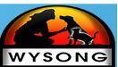 Wysong Coupon code