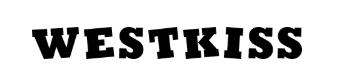 Longstar (HK) Imp Exp Co